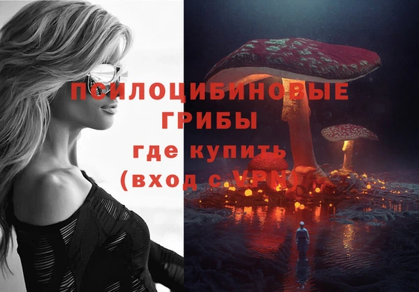 spice Медвежьегорск